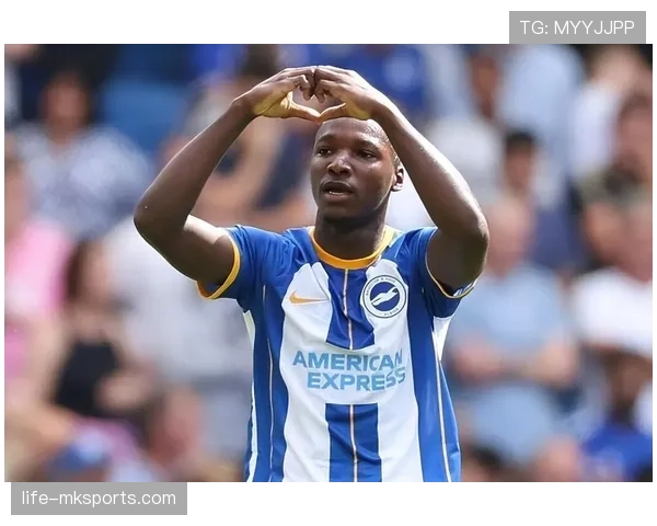 布莱顿持续优化转会策略，锁定潜力新星夯实未来竞争力