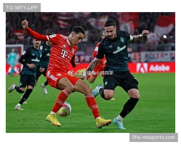 德甲沃尔夫斯堡球迷狂热 德甲沃尔夫斯堡球迷狂热