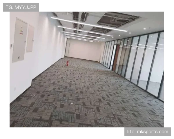 帕利尼亚 vs 坎特:扫荡型中场的不同版本 帕利尼亚 vs 坎特:扫荡型中场的不同版本